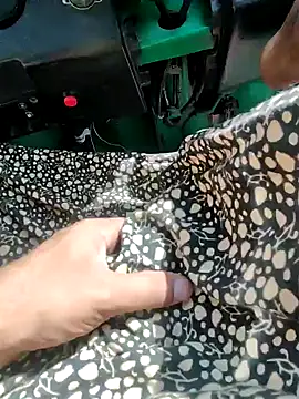 Kolkata   Boy online show from December 2024 04:35:02 AM