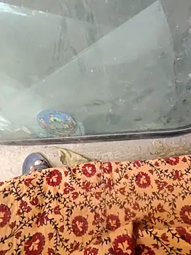 Kolkata   Boy online show from February 2025 08:27:02 AM