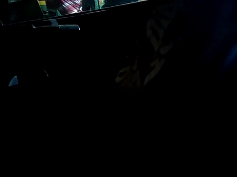 Kolkata   Boy online show from September 2025 04:52:02 PM