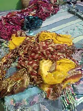 Snapshot of Shamimosman chatting on February 2026 04:40:01 PM Shamimosman online show from February 2026 04:40:01 PM